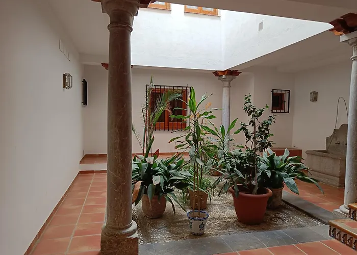 Concepcion Granada Centro